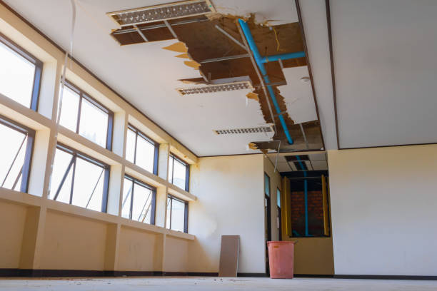 Best Water damage restoration insurance claims  in Romney, WV