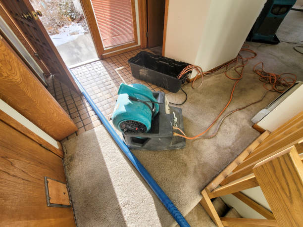 Best Residential water damage restoration  in Romney, WV