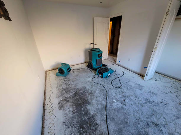 Best Sewage cleanup and water damage restoration  in Romney, WV