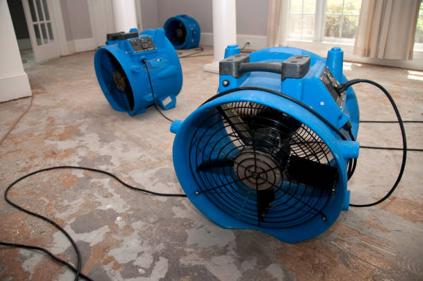 Carpet water damage restoration in WV