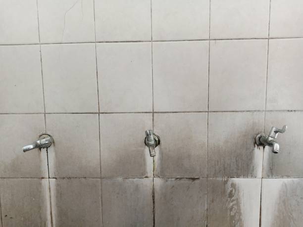 Best Sewage cleanup and water damage restoration  in Romney, WV