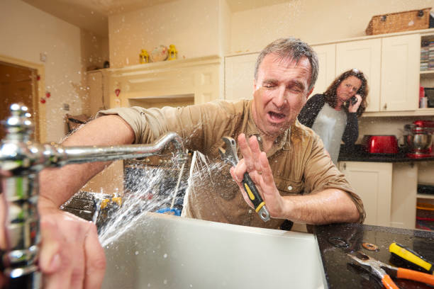 Best Fire Damage Restoration  in Romney, WV